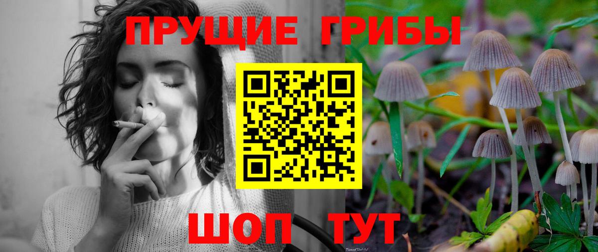 Псилоцибиновые грибы мицелий Ногинск